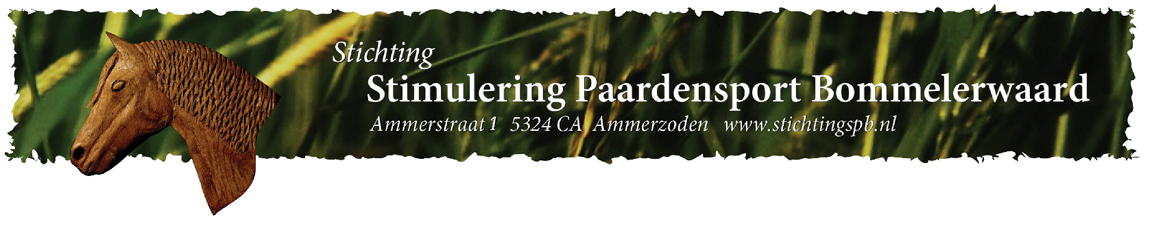 En nog een WordPress site